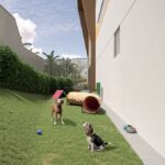 ABV_perspectiva_ilustrada_do_pet_place